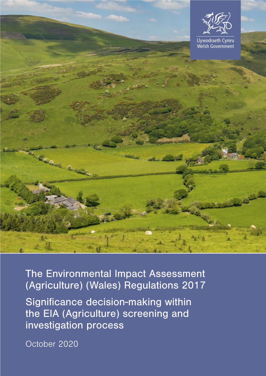 Environmental Impact Assessment