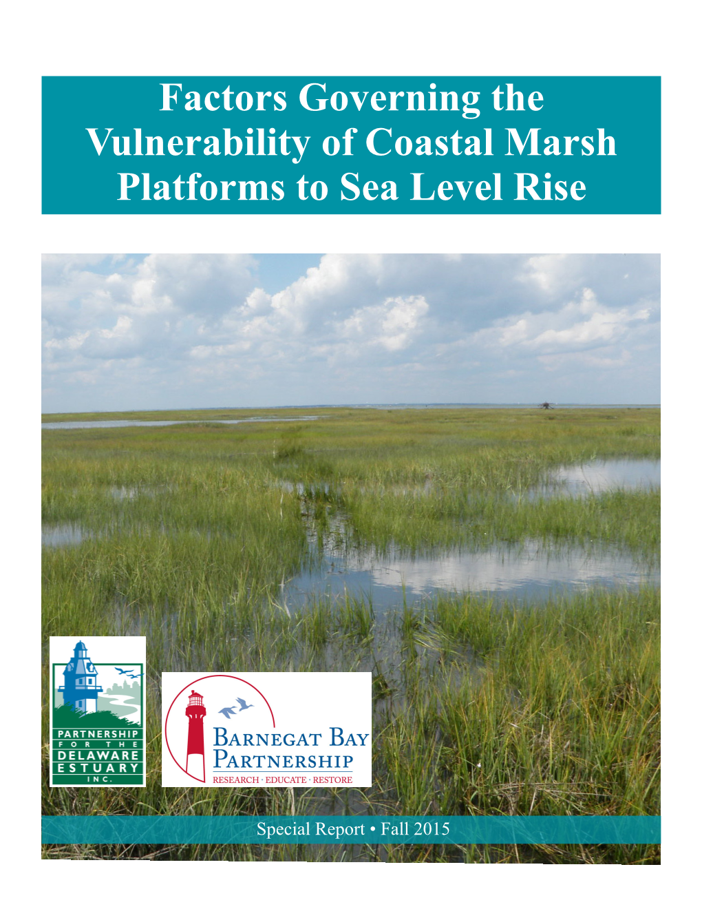 Factors Governing the Vulnerability of Coastal Marsh Platforms to Sea Level Rise