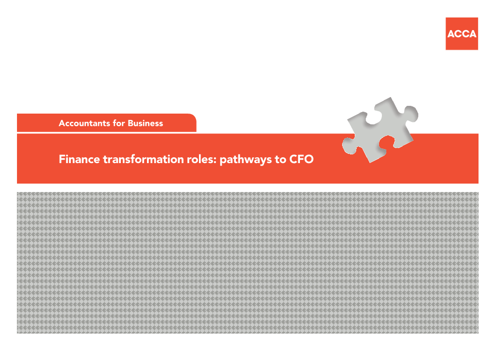 Finance Transformation Roles: Pathways to CFO