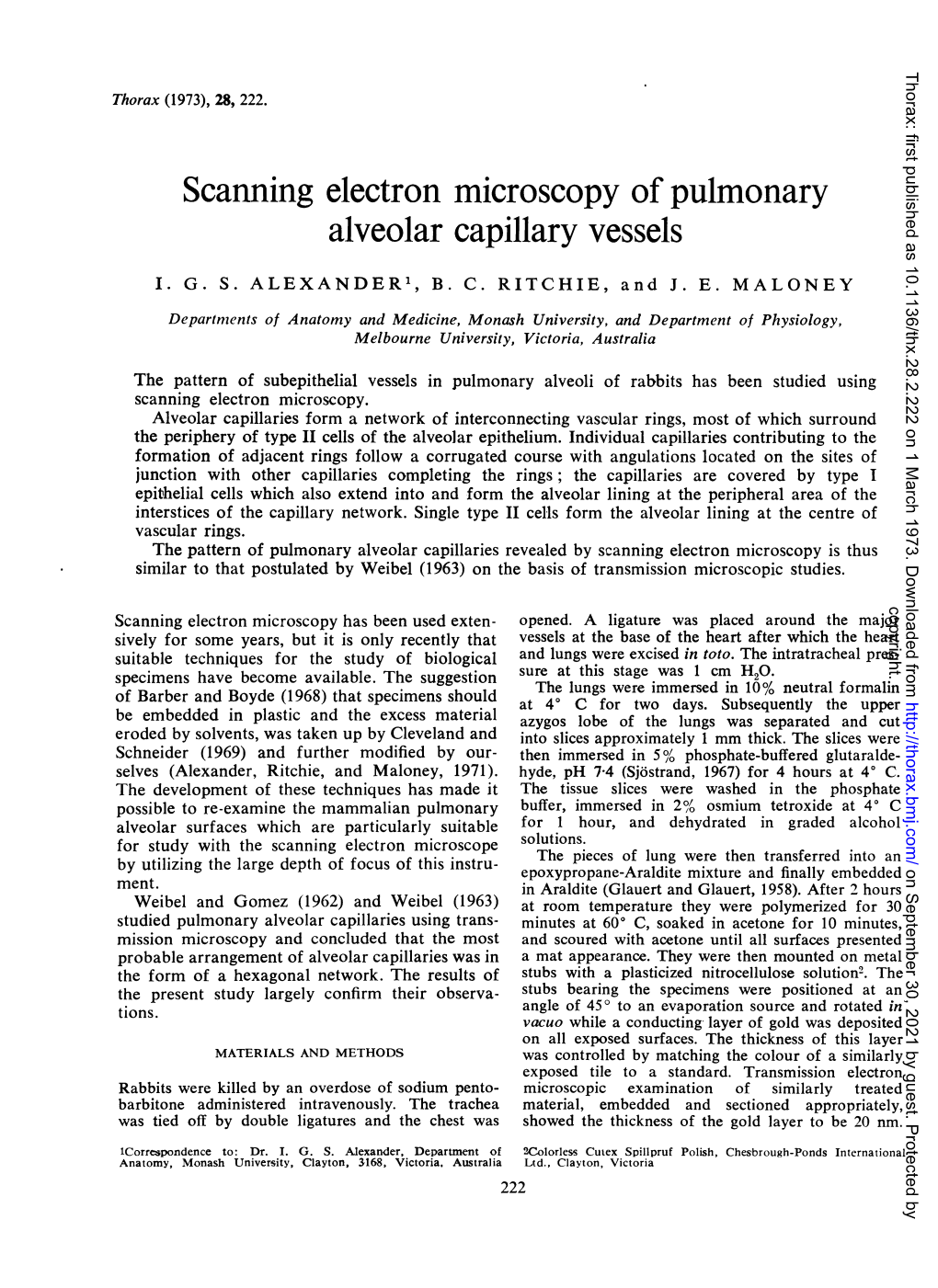 Scanning Electron Microscopy of Pulmonary Alveolar Capillary Vessels