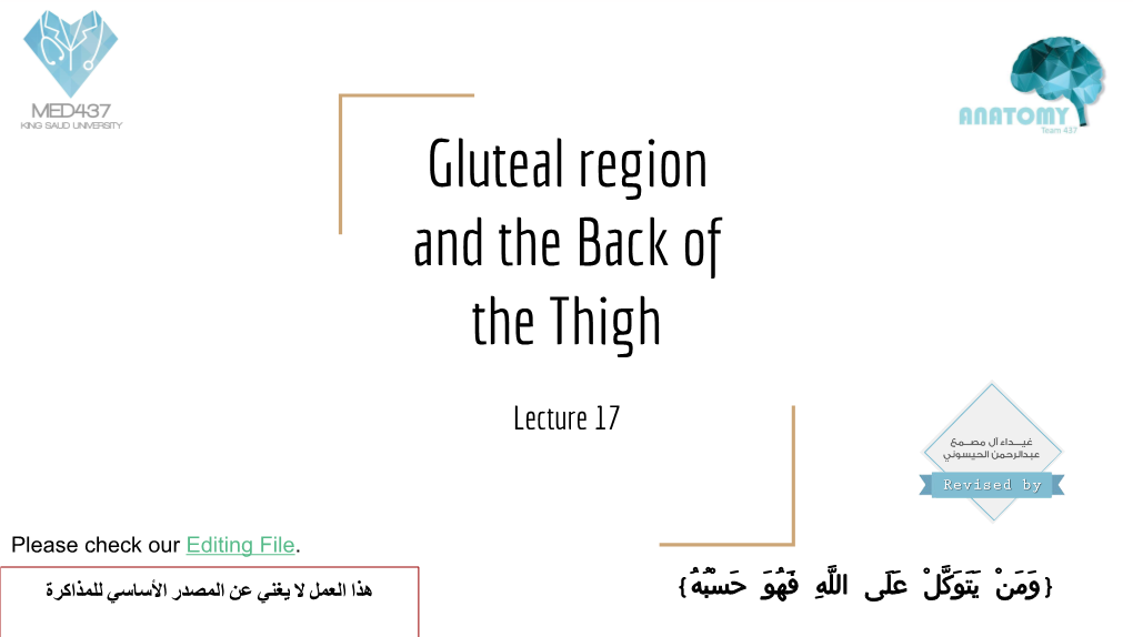 Gluteal Region and the Back of the Thigh