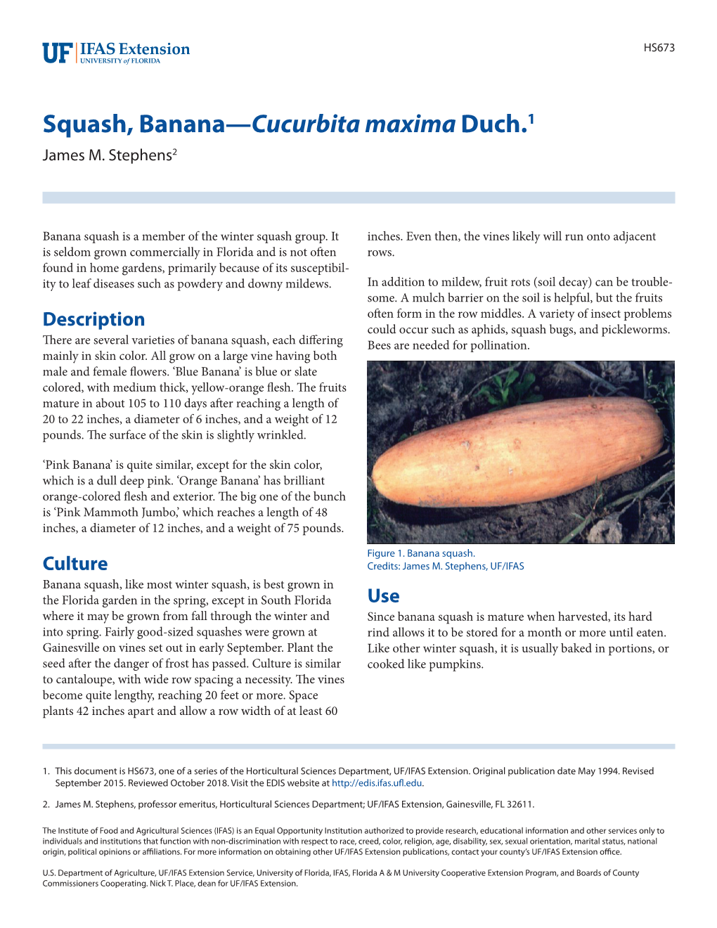 Squash, Banana—Cucurbita Maxima Duch.1 James M