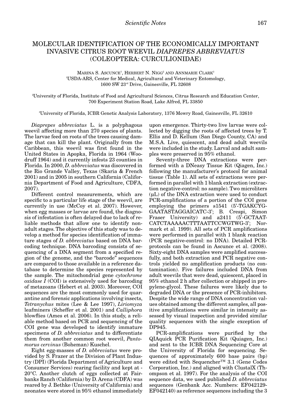 Molecular Identification of the Economically Important Invasive Citrus Root Weevil Diaprepes Abbreviatus (Coleoptera: Curculionidae)