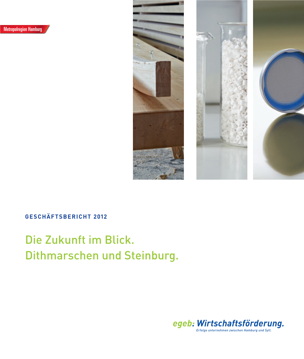 Die Zukunft Im Blick. Dithmarschen Und Steinburg. Egeb Jahresbericht2012 5C V8.Qxd 15.04.2013 6:02 Uhr Seite 2