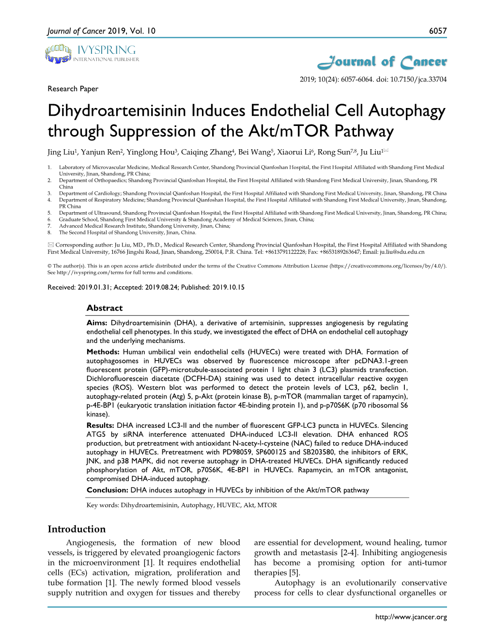 Dihydroartemisinin Induces Endothelial Cell Autophagy Through