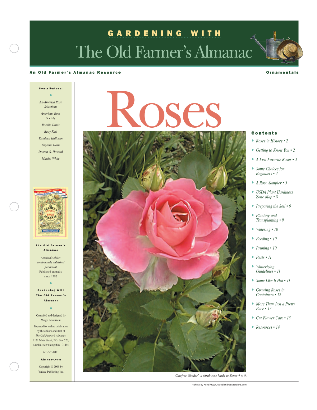 E-Garden.Roses Layout