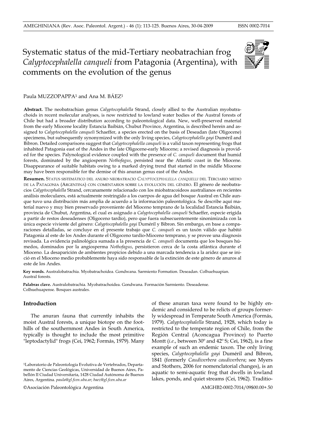 Systematic Status of the Mid-Tertiary Neobatrachian Frog Calyptocephalella Canqueli from Patagonia (Argentina), with Comments on the Evolution of the Genus