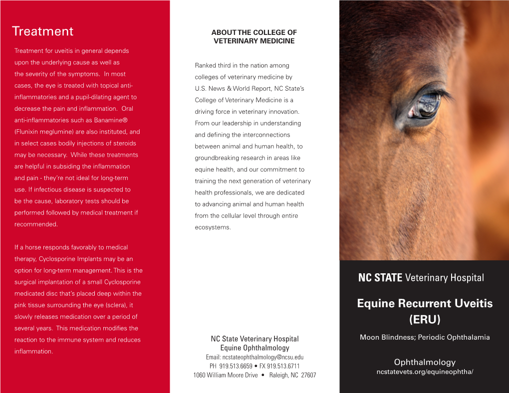 Equine Recurrent Uveitis Slowly Releases Medication Over a Period of (ERU) Several Years