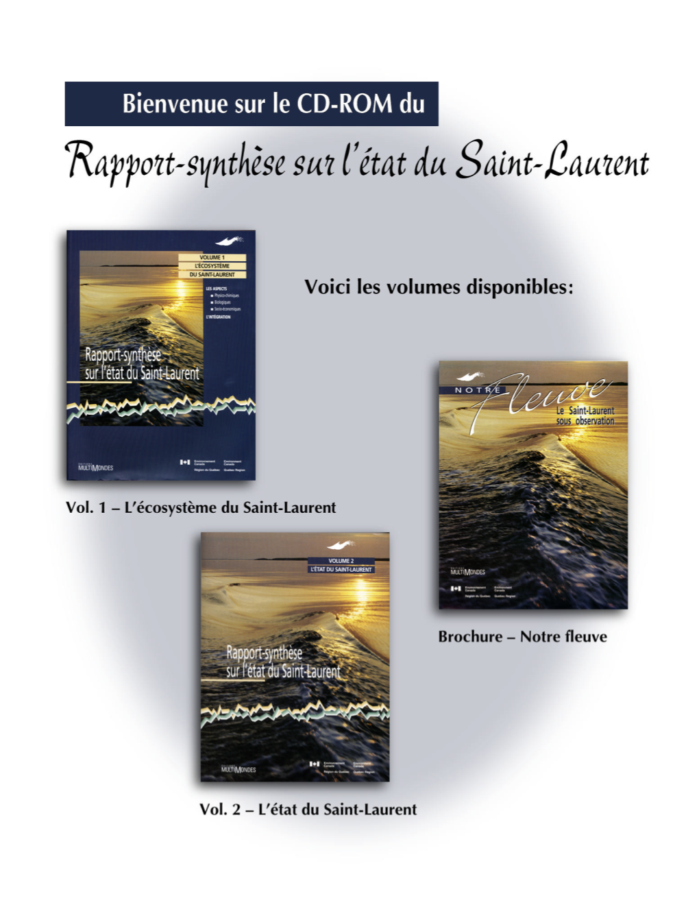Rapport-Synthèse Sur L'état Du Saint-Laurent