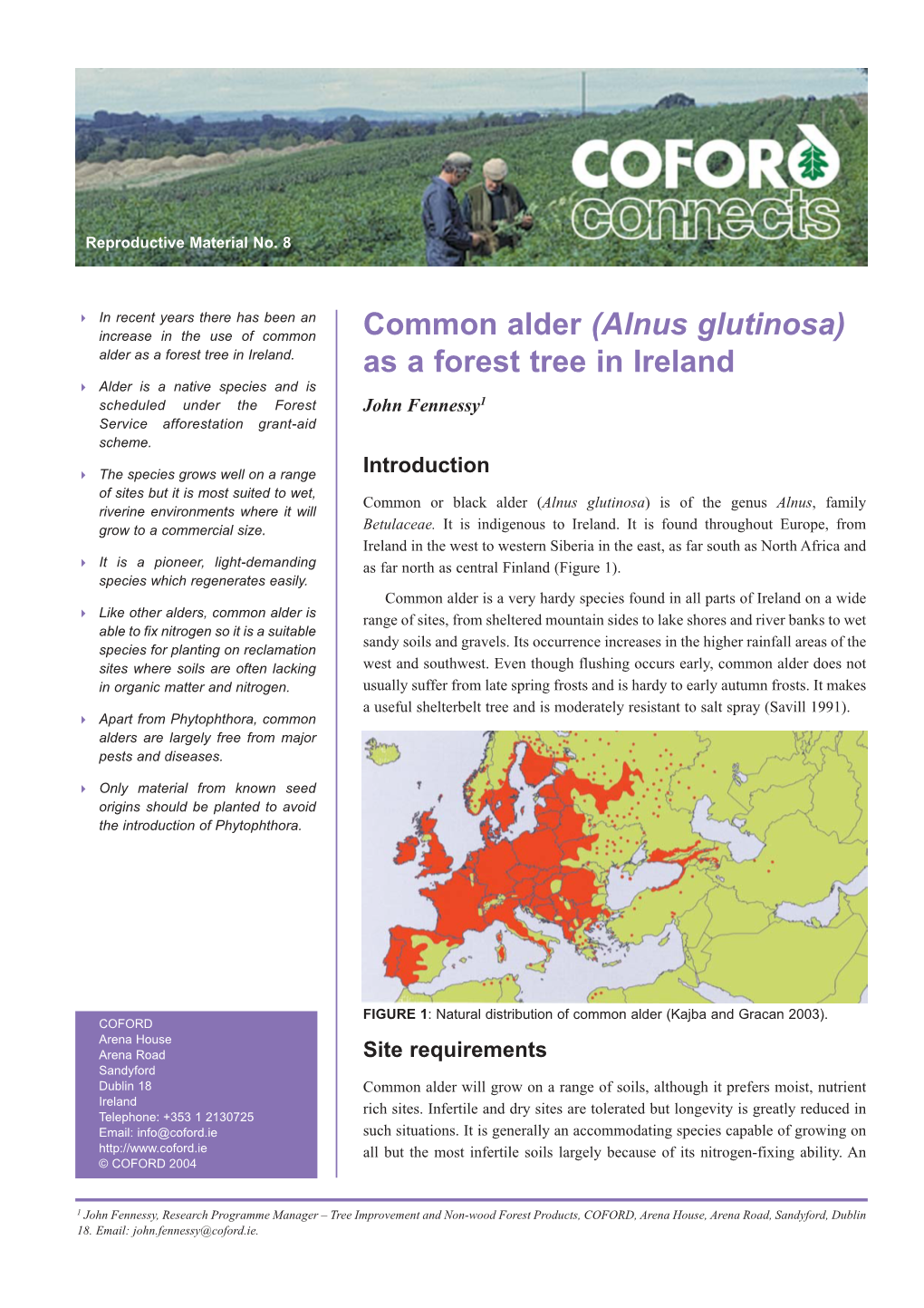 Common Alder (Alnus Glutinosa) As a Forest Tree in Ireland