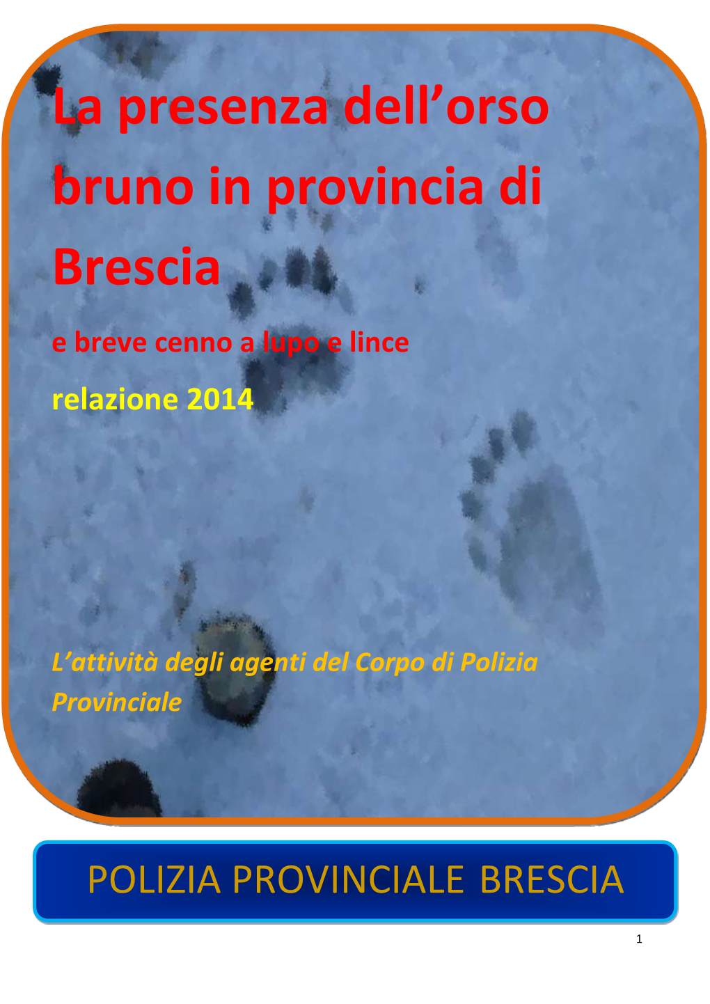 La Presenza Dell'orso Bruno in Provincia Di Brescia
