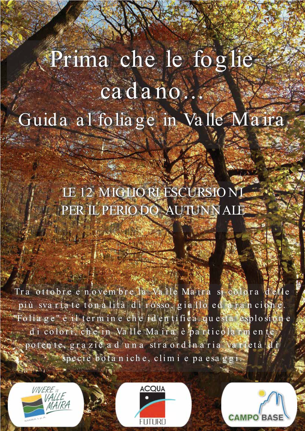 Guida Ai Sentieri Del Foliage in Valle Maira