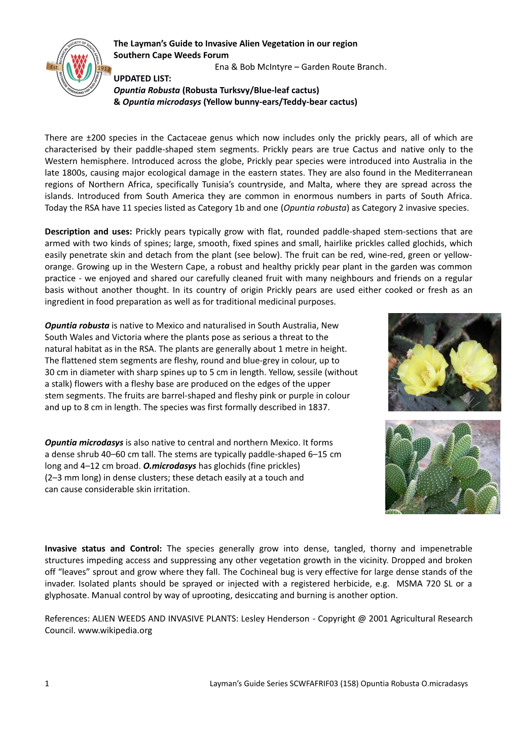 Updated List Opuntia Robusta Opuntia Microdasys