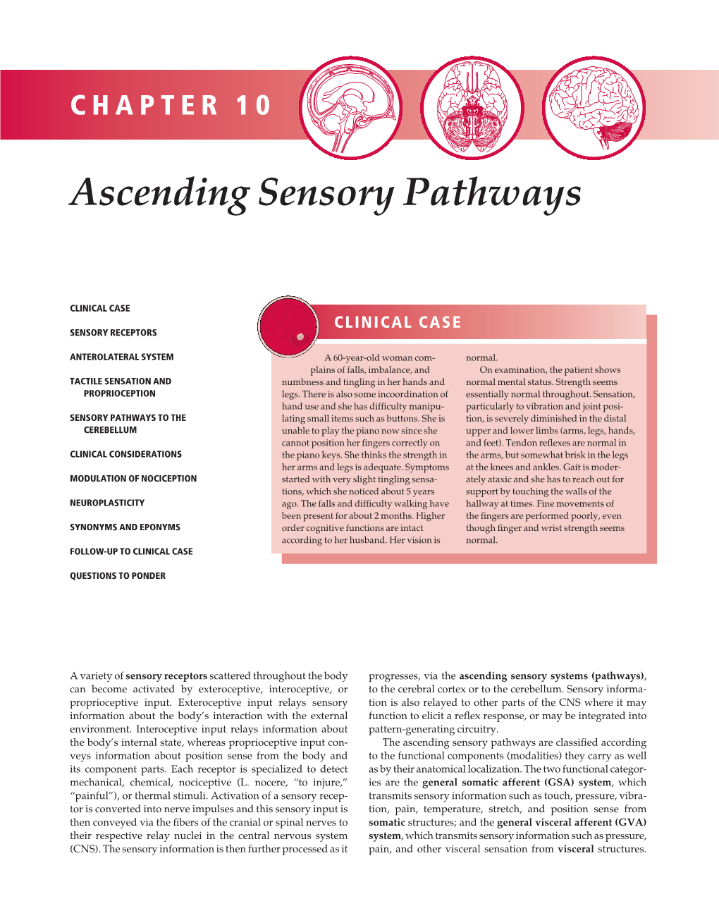 Ascending Sensory Pathways