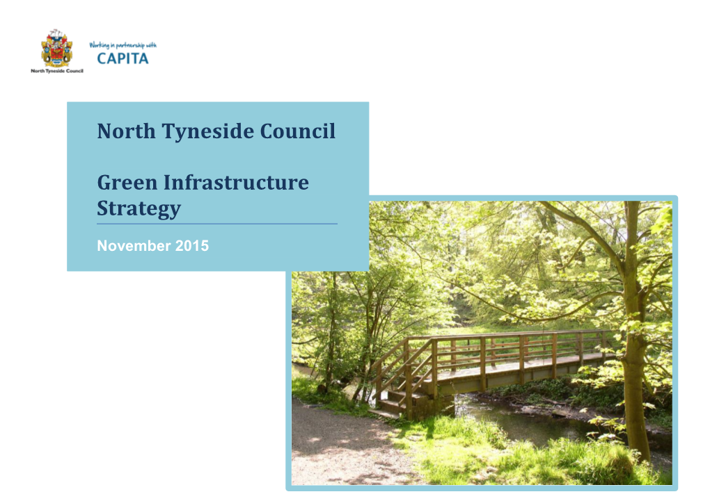 Green Infrastructure Strategy 2015