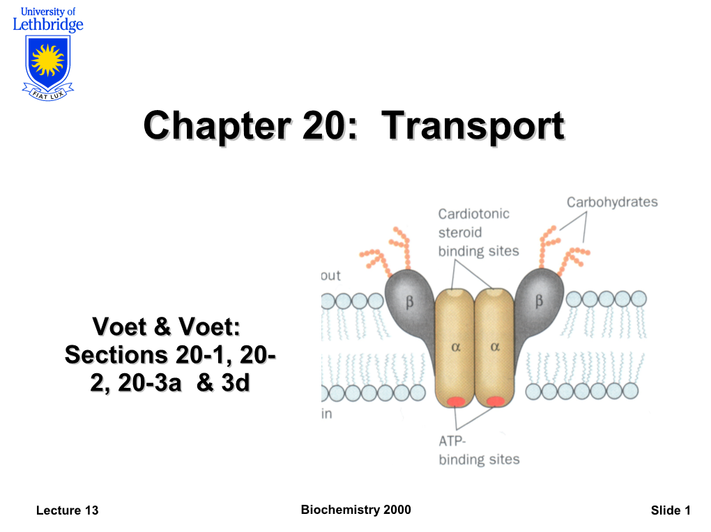 Chapter 20: Transport