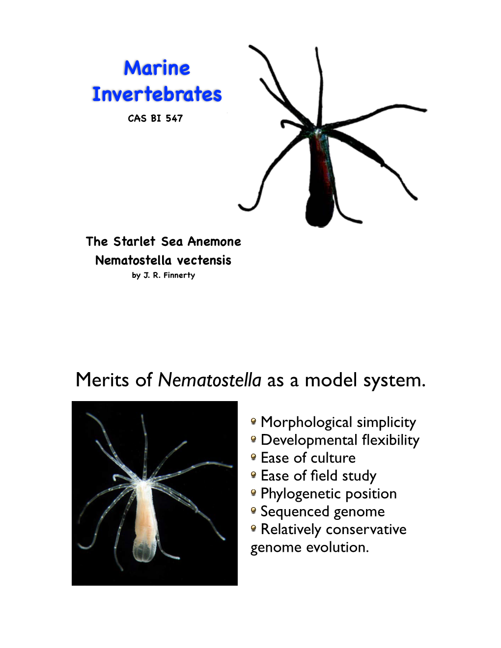 Merits of Nematostella As a Model System