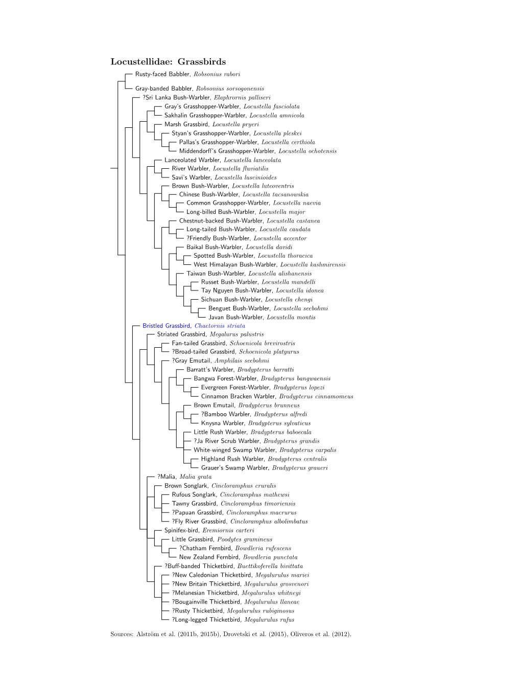 Locustellidae Species Tree