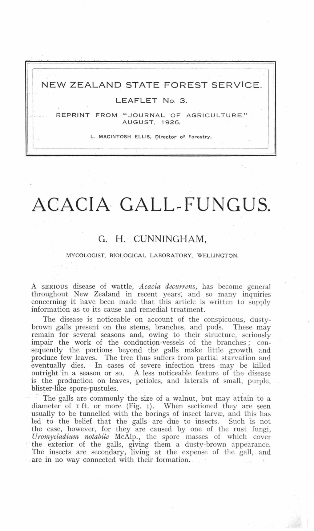 Acacia· Gall-Fungus