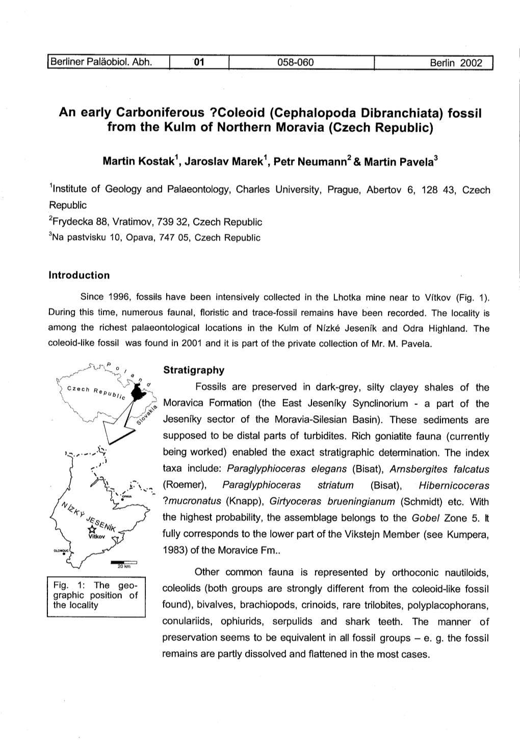 Coleoid (Cephalopoda Dibranchiata) Fossil from the Kulm of Northern Moravia (Czech Republic)