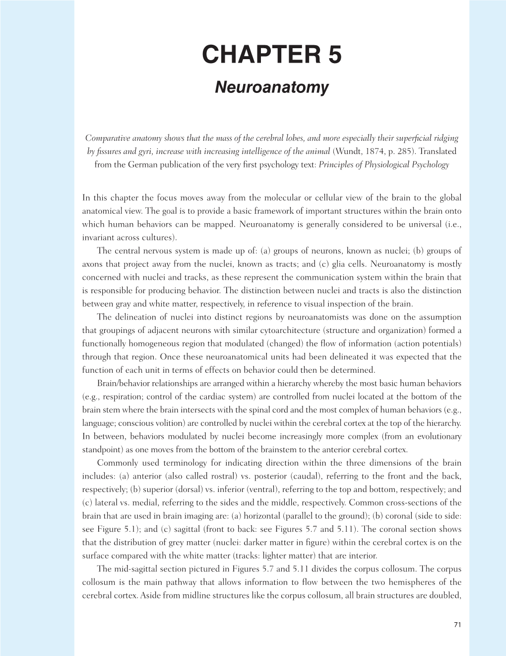 Chapter 5 Neuroanatomy