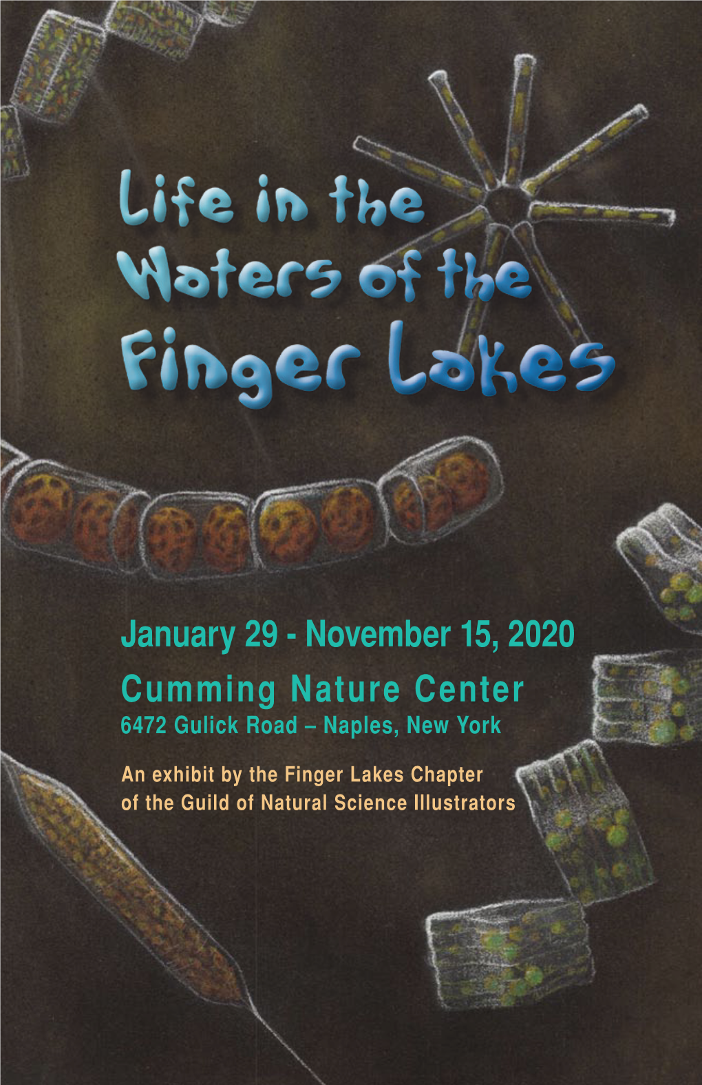 November 15, 2020 Cumming Nature Center 6472 Gulick Road – Naples, New York