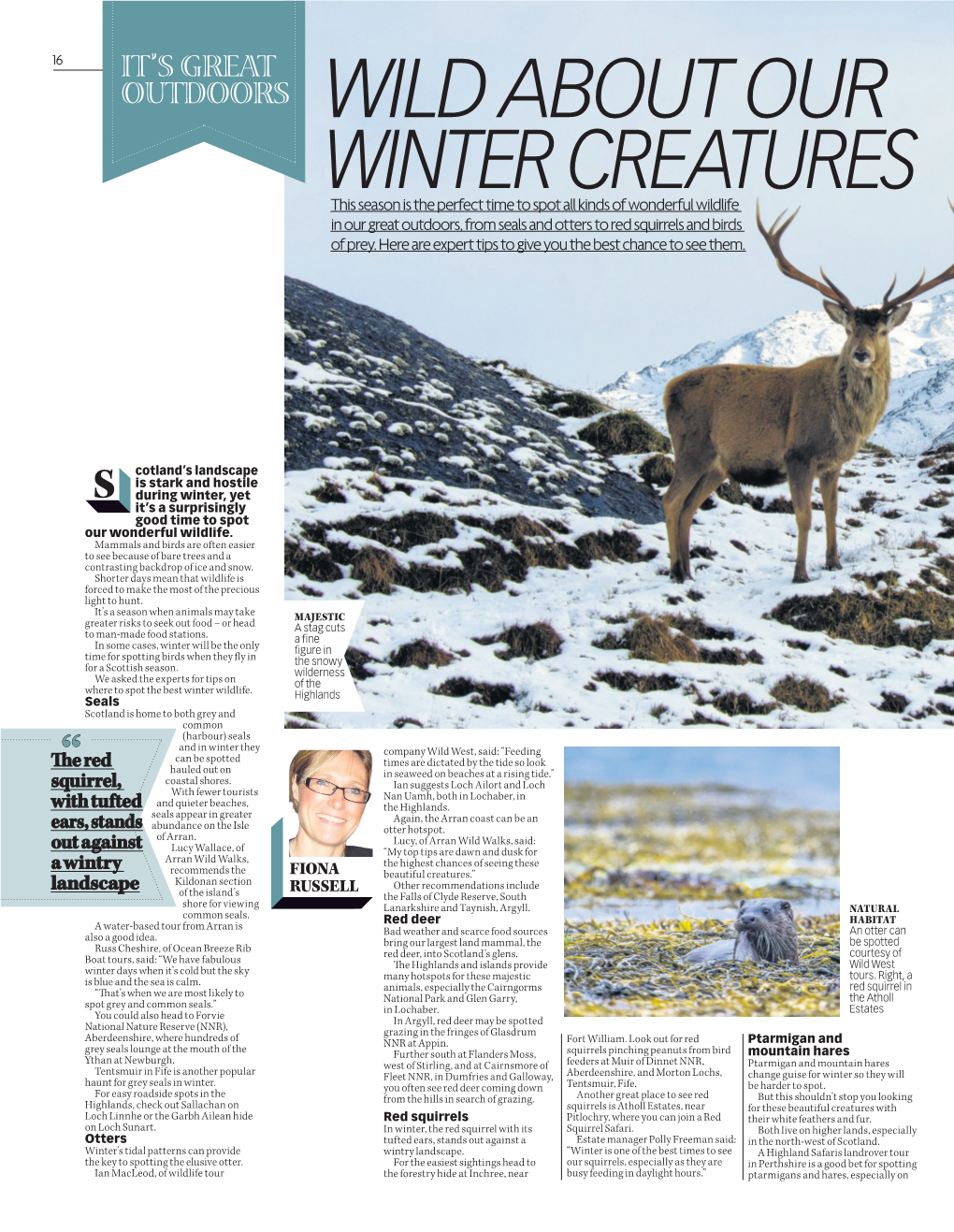 Wild About Our Winter Creatures
