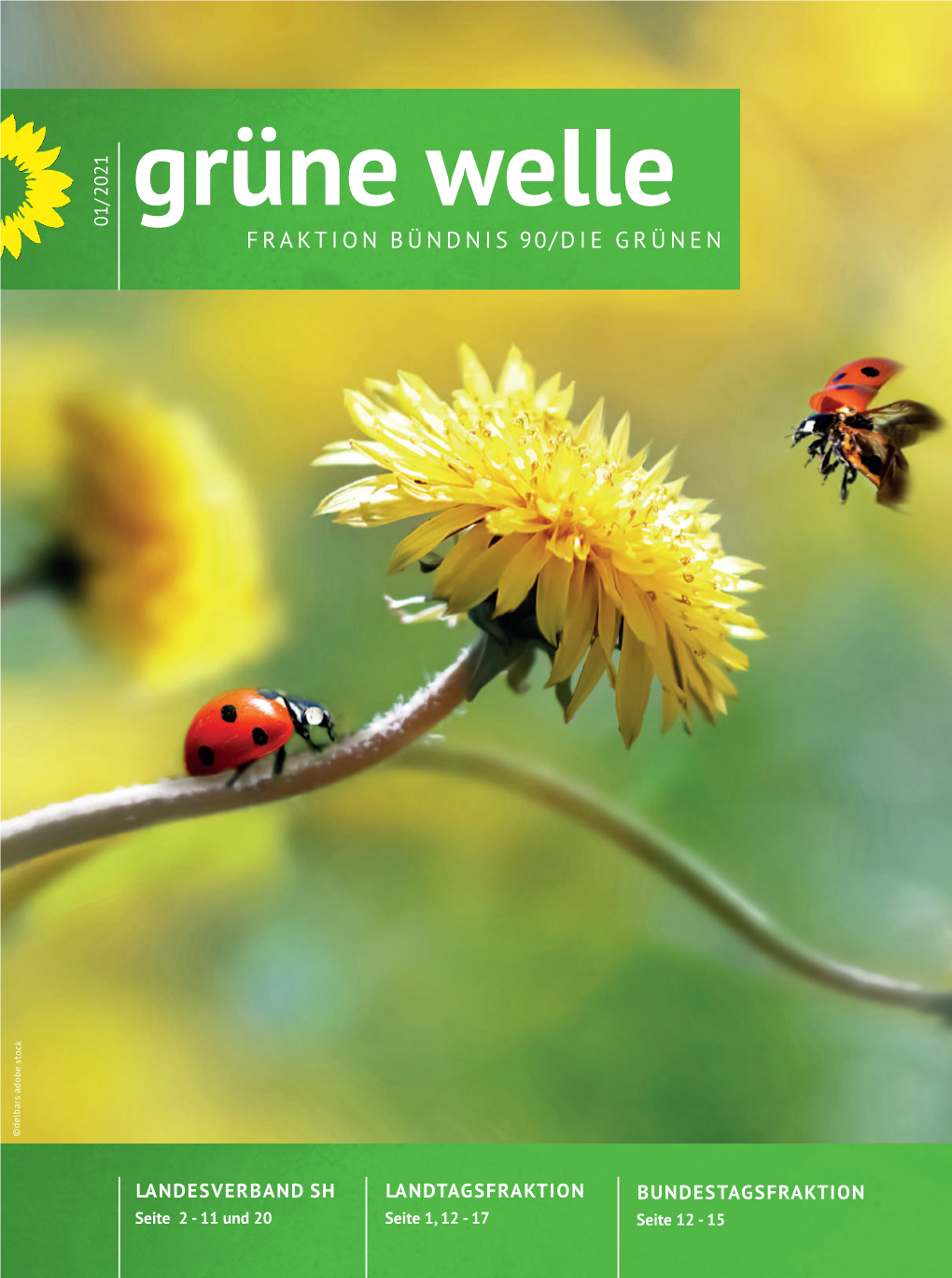 Download Grüne Welle Ausgabe 2021/01