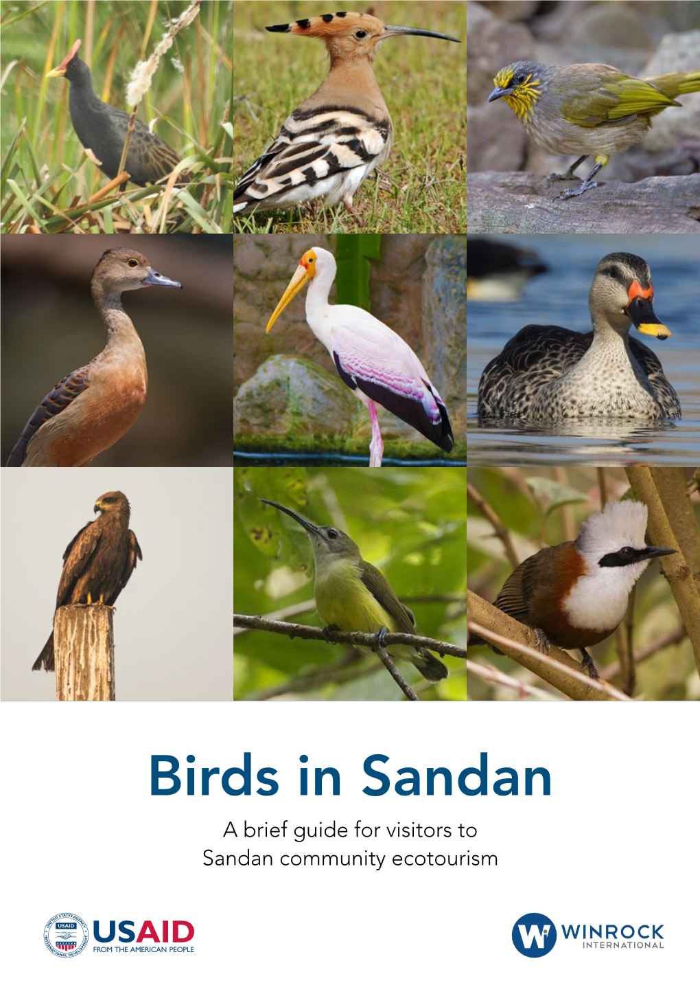 Birds in Sandan