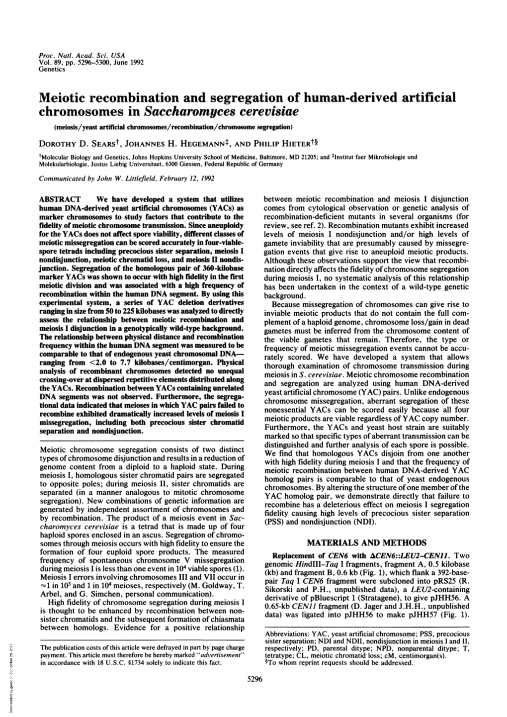 Meiotic Recombination and Segregation of Human-Derived