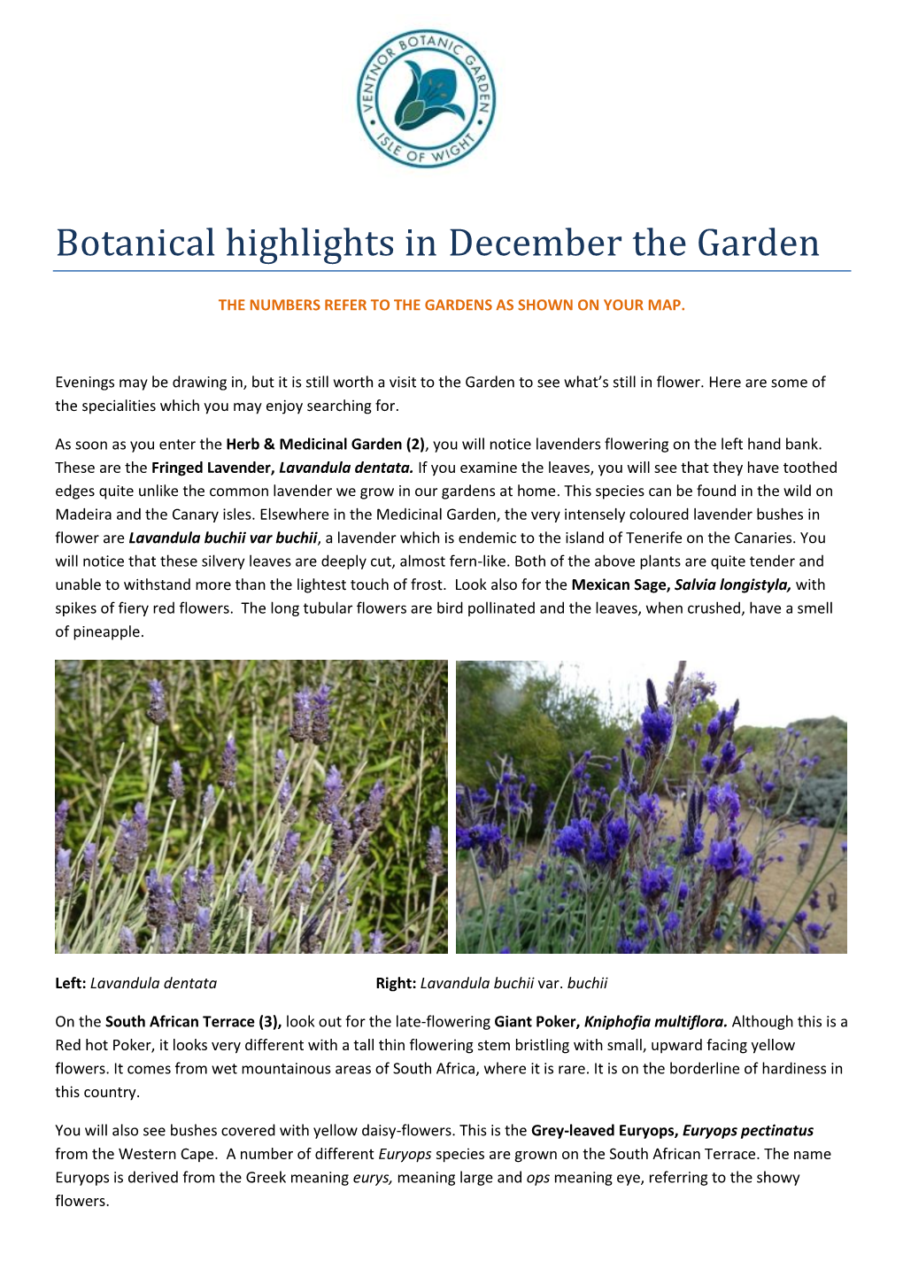 Botanical Highlights in December the Garden