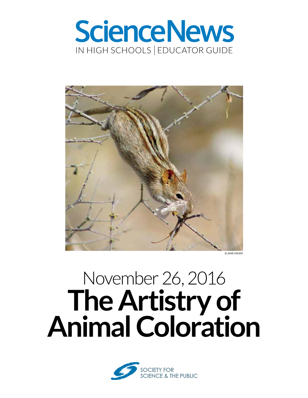 The Artistry of Animal Coloration November 26, 2016