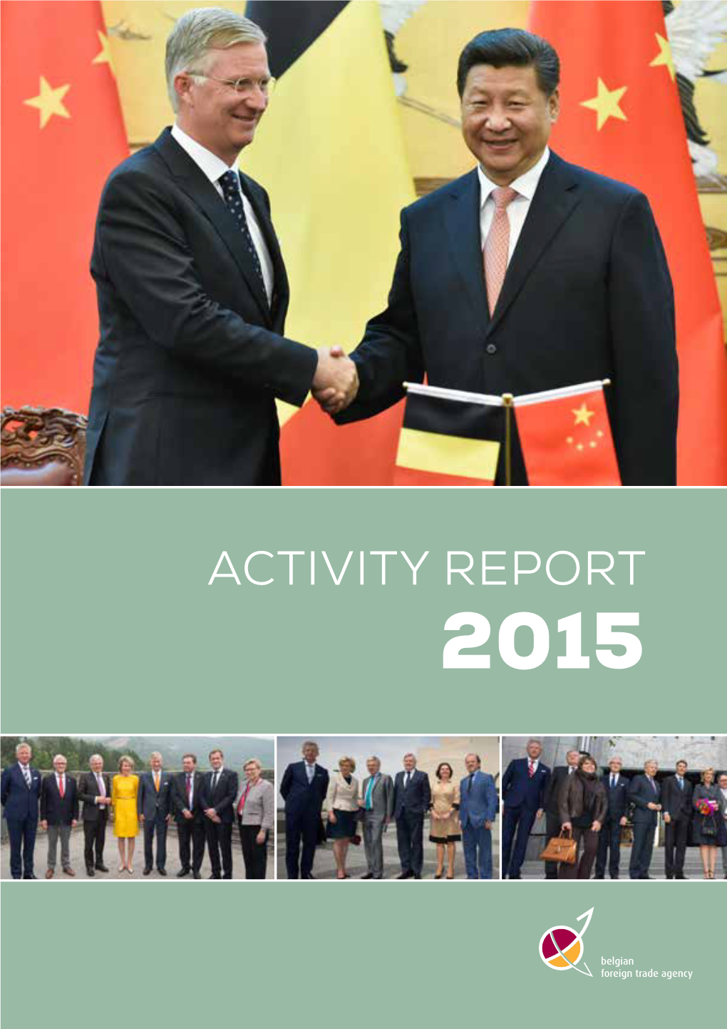 Activity Report 2015