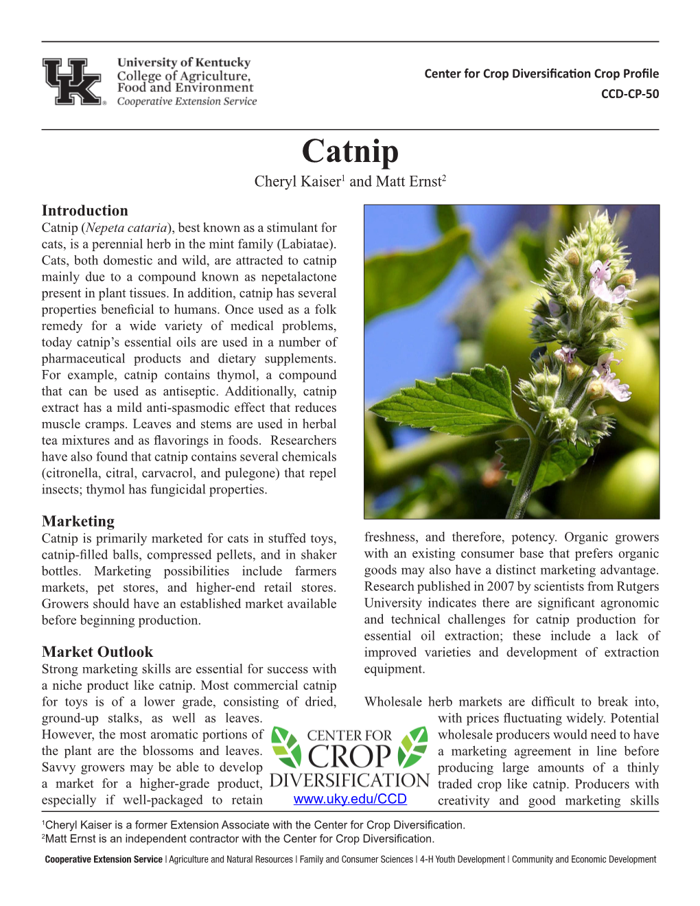 Catnip Cheryl Kaiser1 and Matt Ernst2 Introduction Catnip (Nepeta Cataria), Best Known As a Stimulant for Cats, Is a Perennial Herb in the Mint Family (Labiatae)