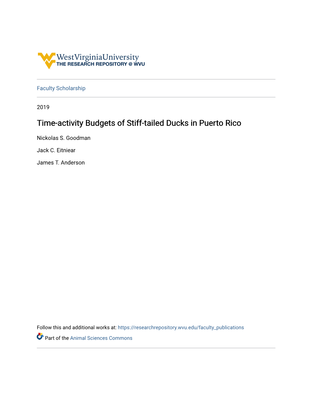 Time-Activity Budgets of Stiff-Tailed Ducks in Puerto Rico