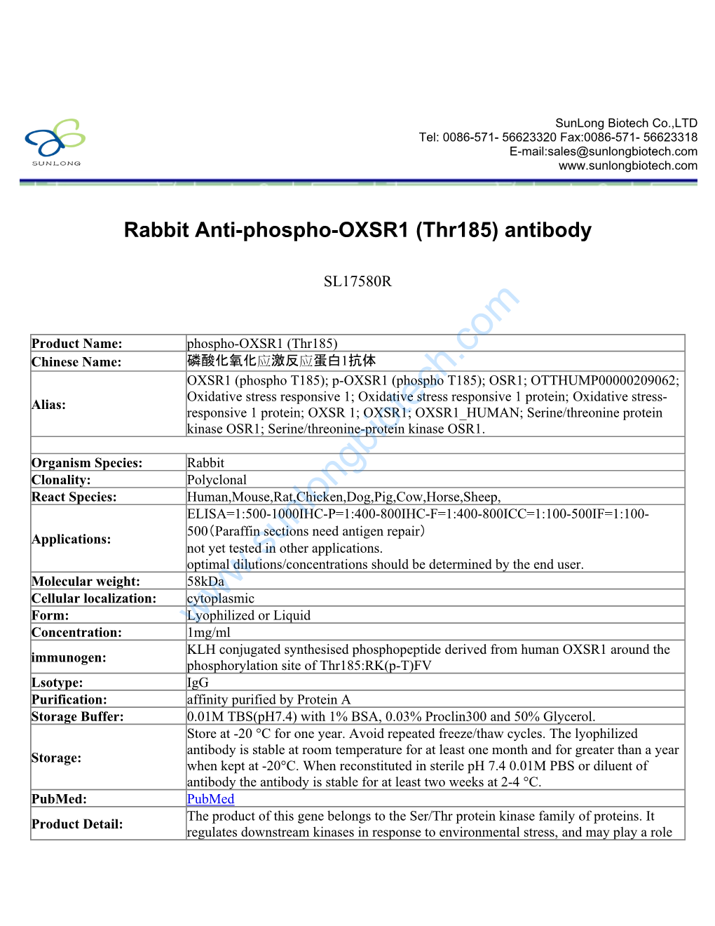 Rabbit Anti-Phospho-OXSR1 (Thr185) Antibody-SL17580R