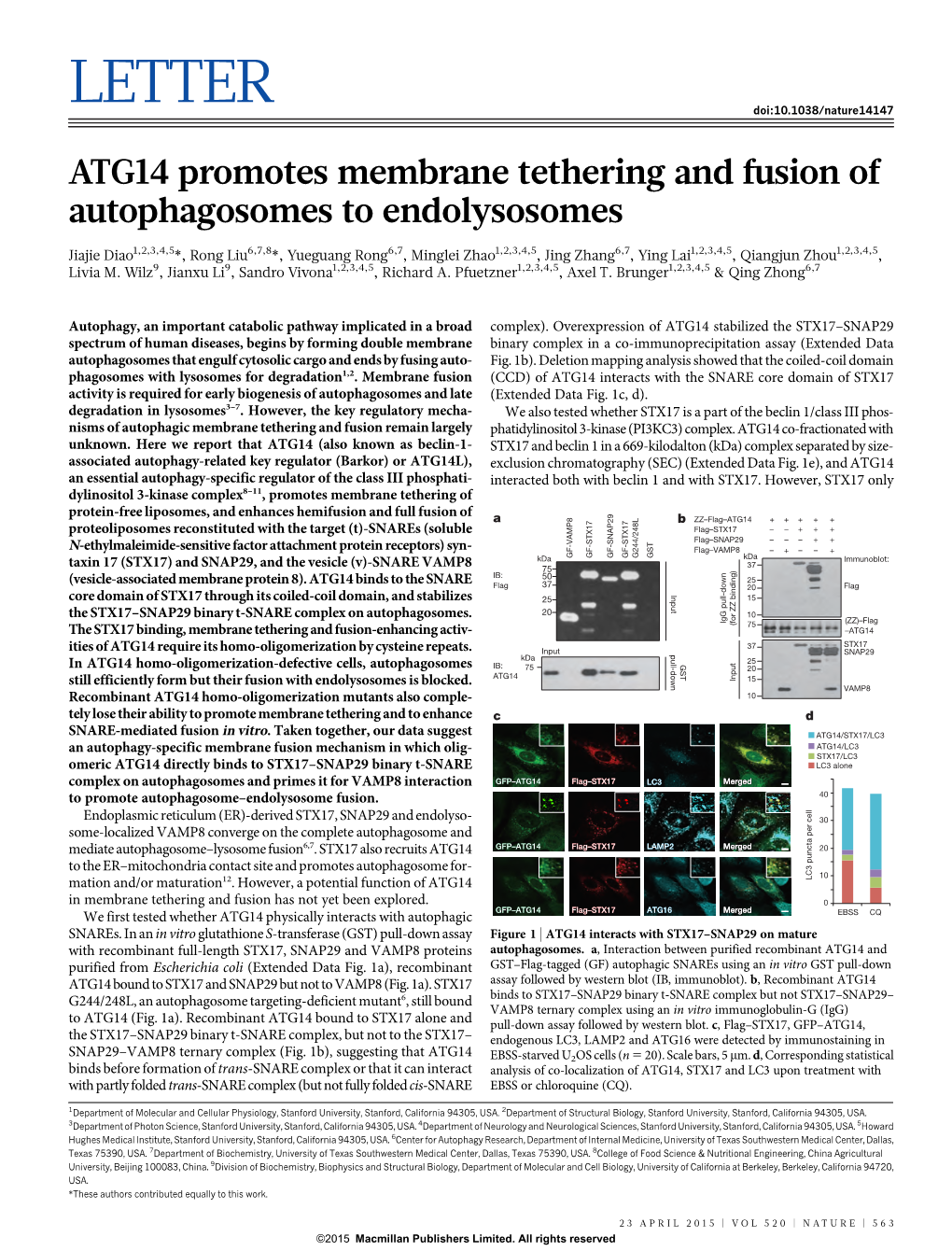 LETTER Doi:10.1038/Nature14147