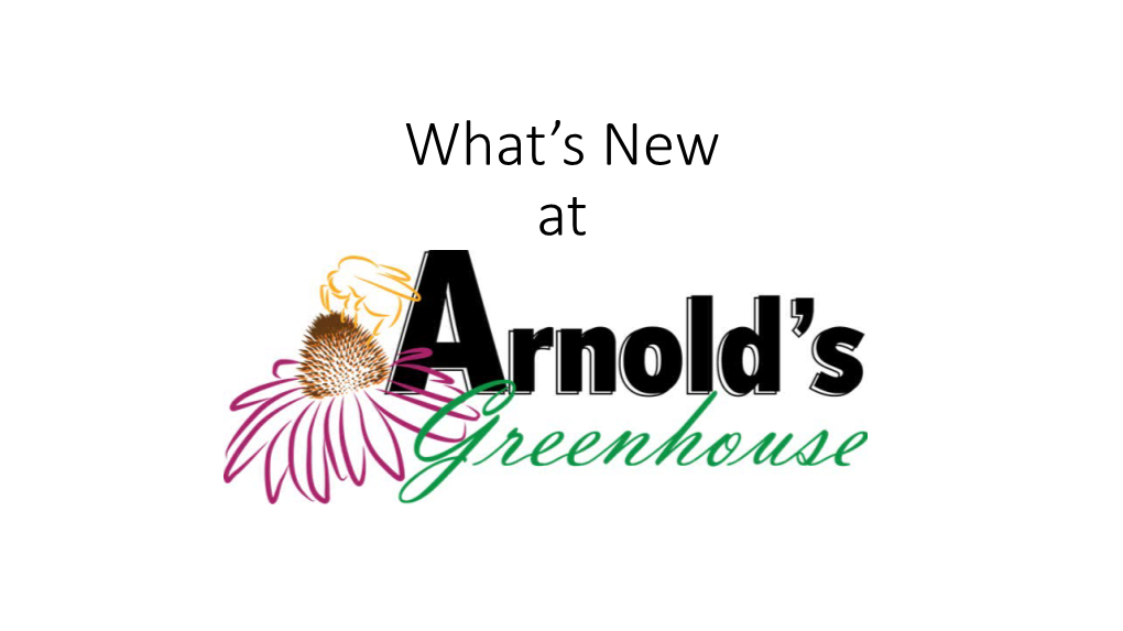 What's New at Arnold's Greenhouse?