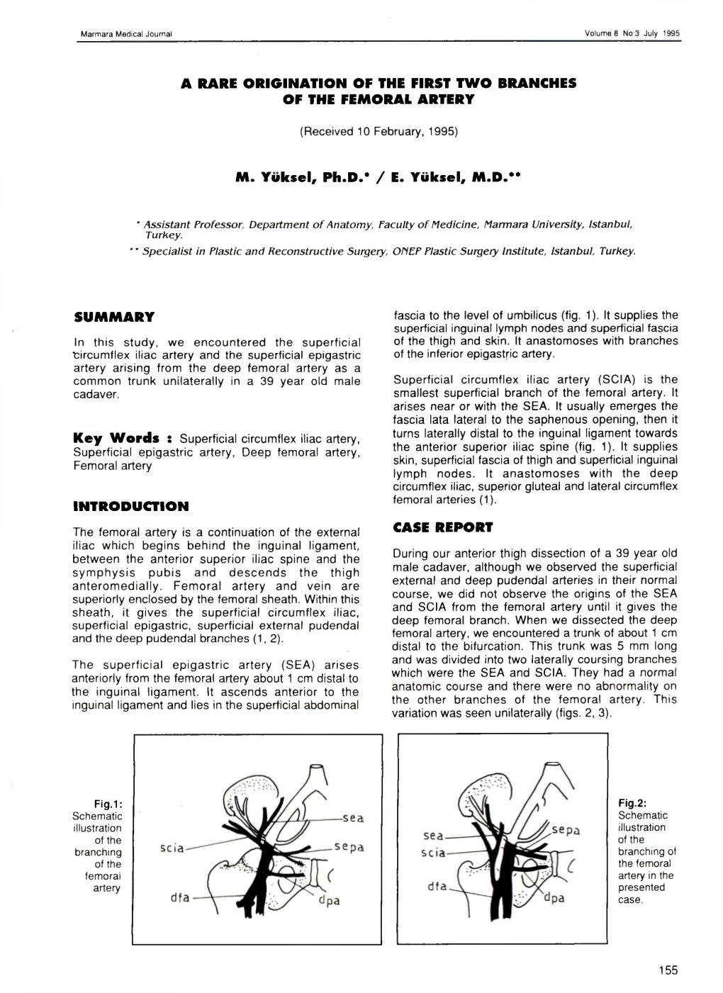 A Rare Origination of the First Two Branches of the Femoral Artery