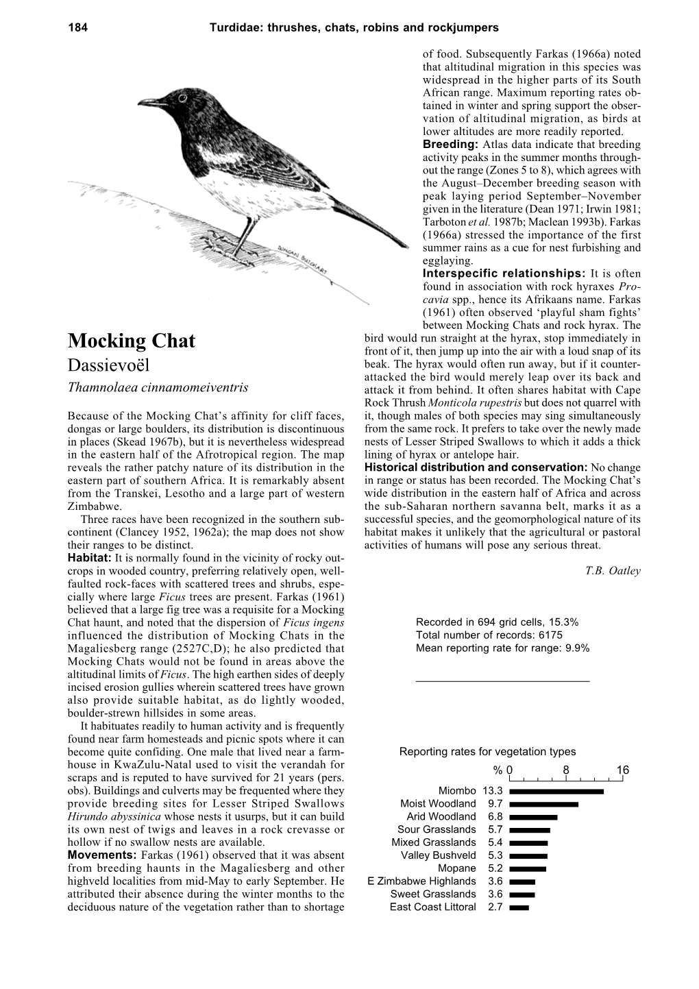 Mocking Chats and Rock Hyrax