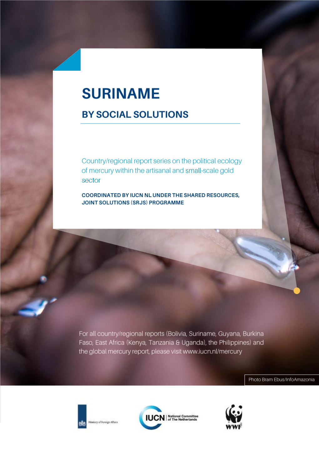 The Political Ecology of Mercury Within the Small-Scale Gold Sector. Shared Resources Joined Solutions (SRJS)