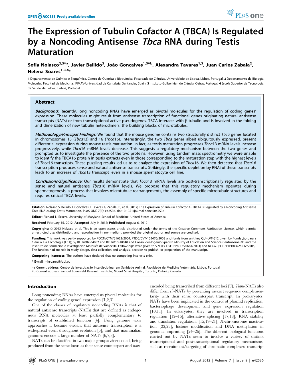 Is Regulated by a Noncoding Antisense Tbca RNA During Testis Maturation