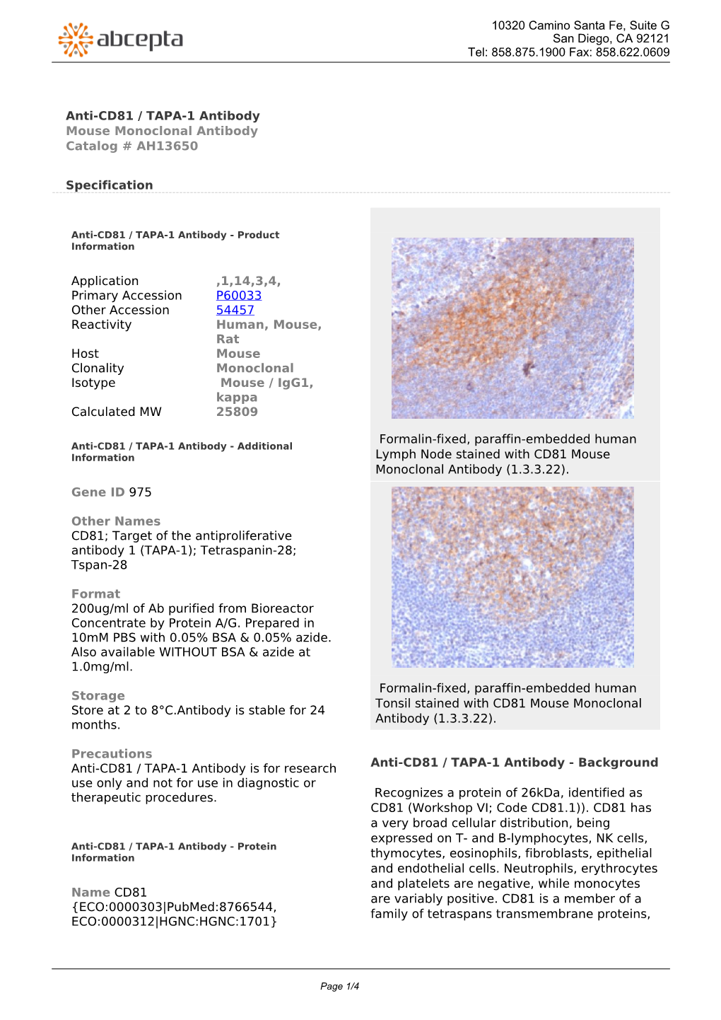 Anti-CD81 / TAPA-1 Antibody Mouse Monoclonal Antibody Catalog # AH13650