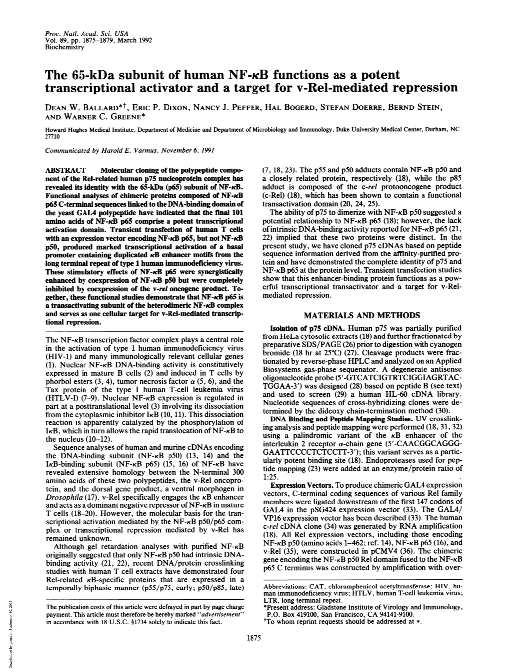 The 65-Kda Subunit of Human NF-KB Functions As a Potent Transcriptional Activator and a Target for V-Rel-Mediated Repression DEAN W