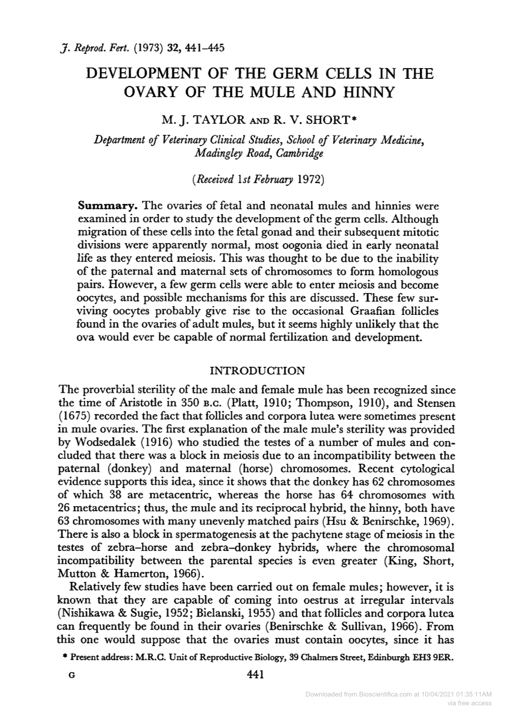 Development of the Germ Cells in the Ovary of the Mule and Hinny