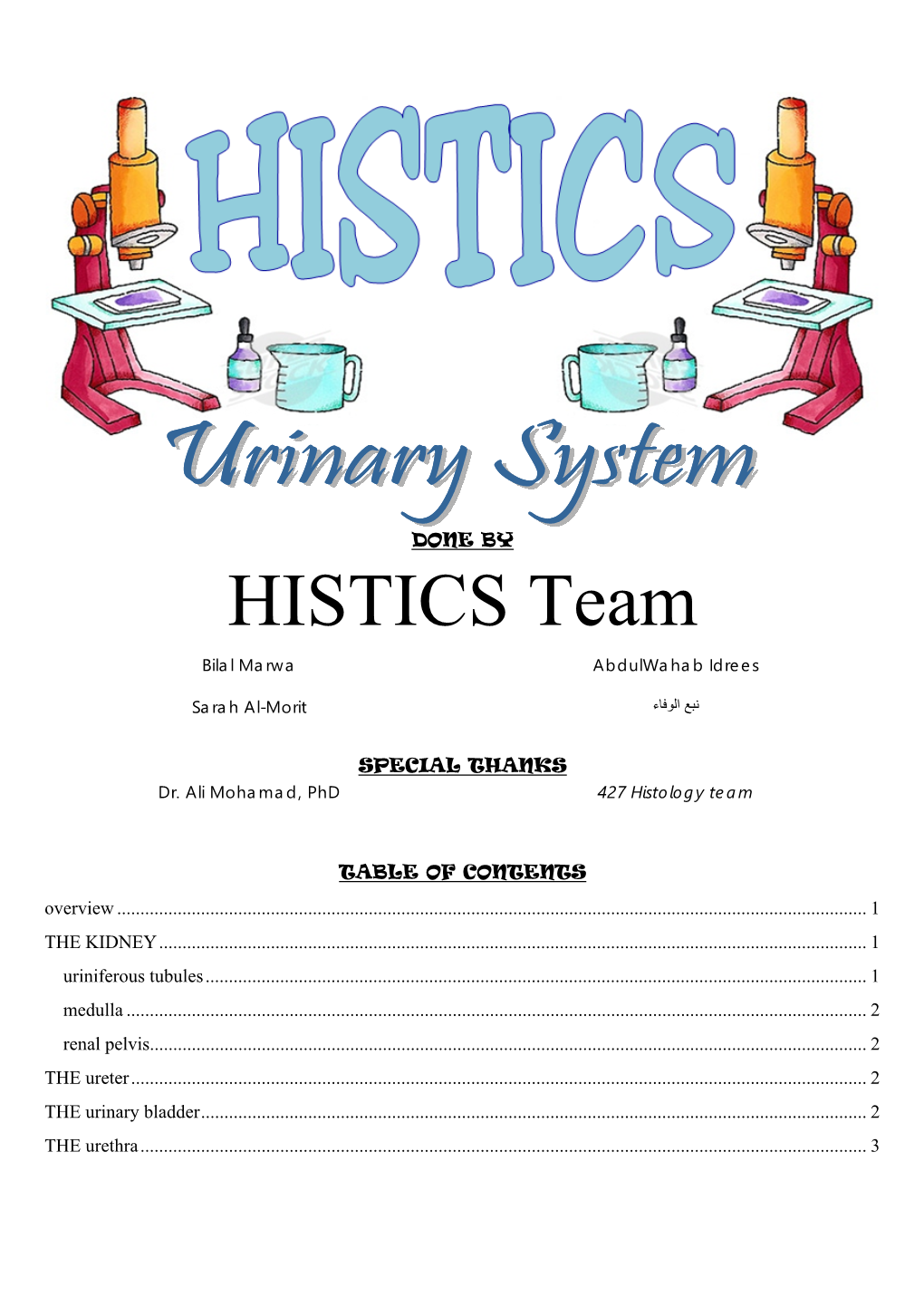 HISTICS Team Bilal Marwa Abdulwahab Idrees