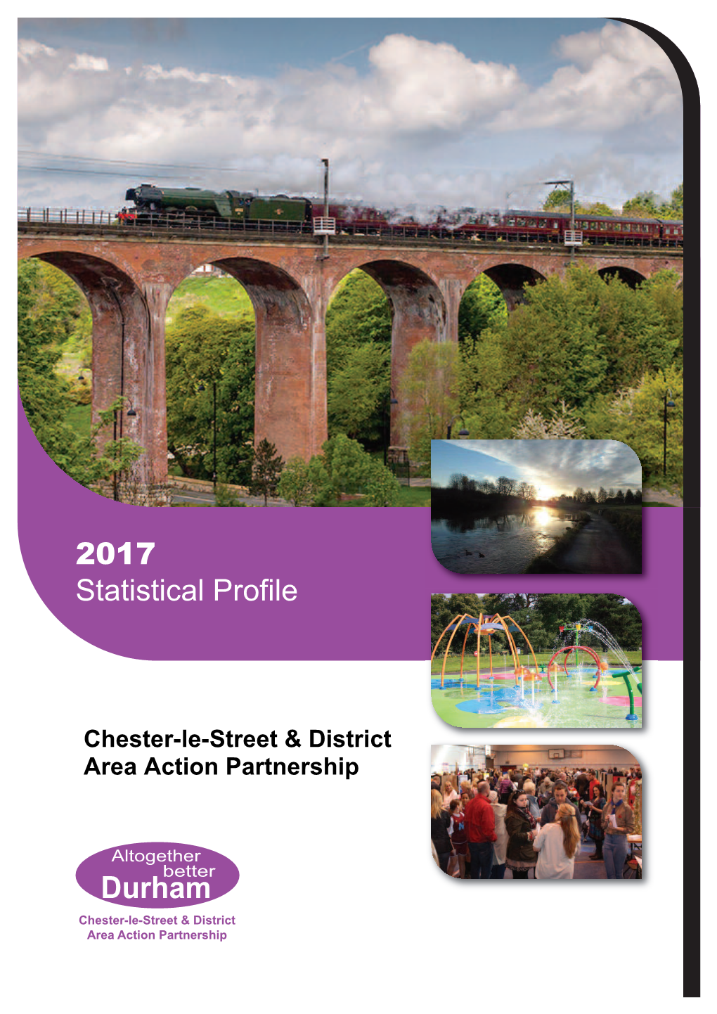 Chester-Le-Street Area Action Partnership Profile 2017