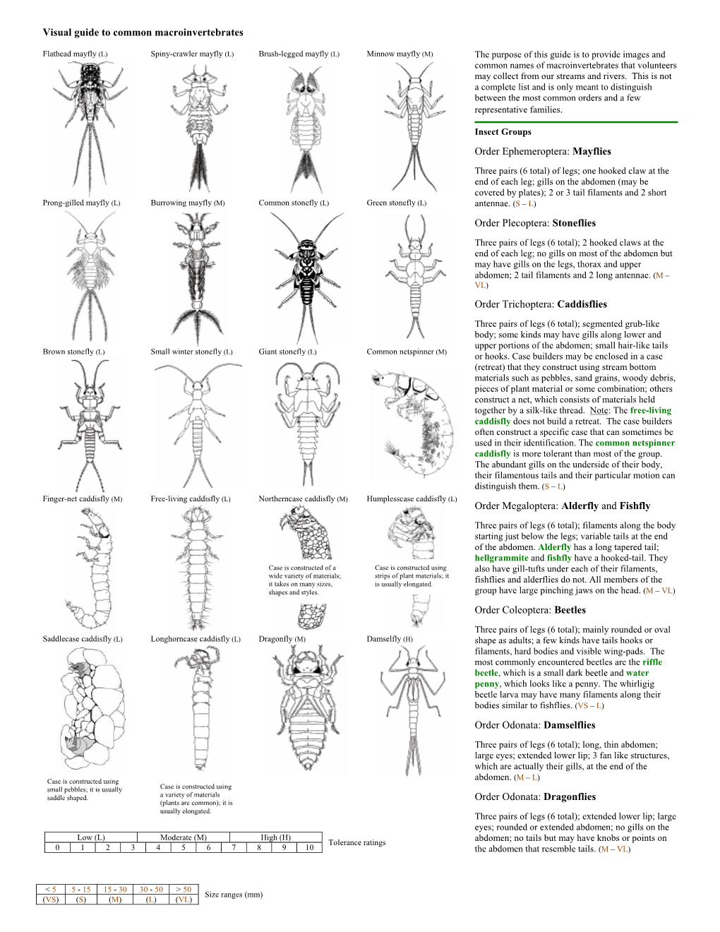Visual Guide to Common Macroinvertebrates