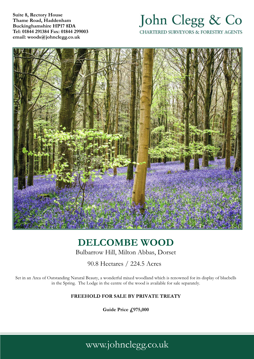DELCOMBE WOOD Bulbarrow Hill, Milton Abbas, Dorset