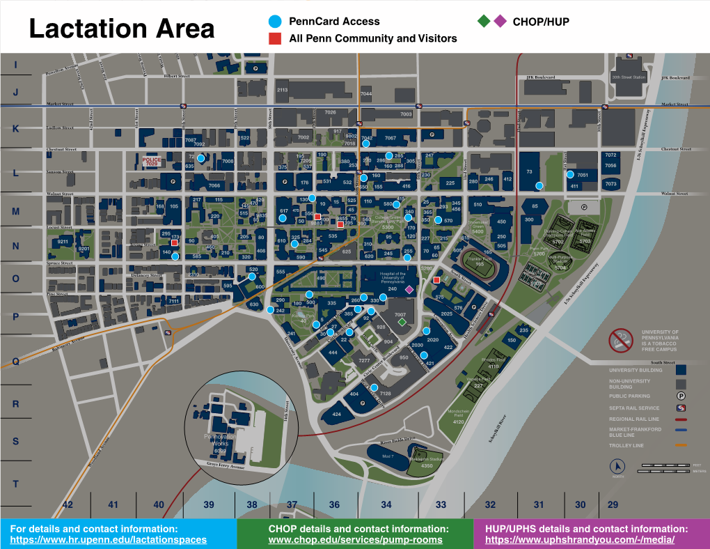 Lactation Area